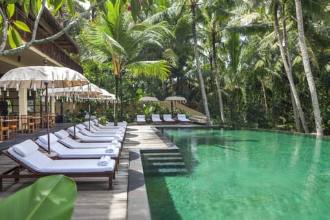 Pool view, Swimming pool, sunbed