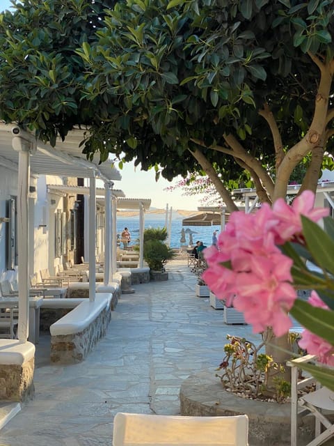 View (from property/room), Balcony/Terrace, Garden view, Sea view