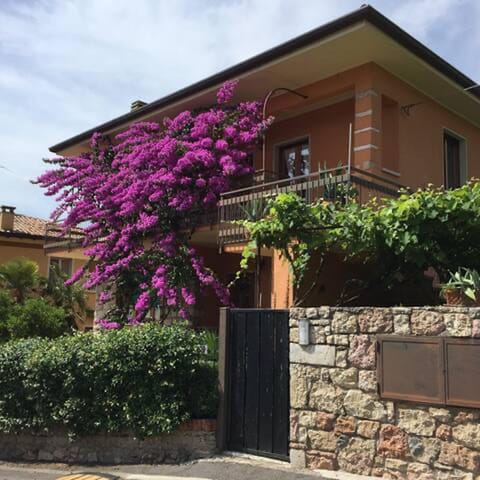 Property building, Garden, Garden view
