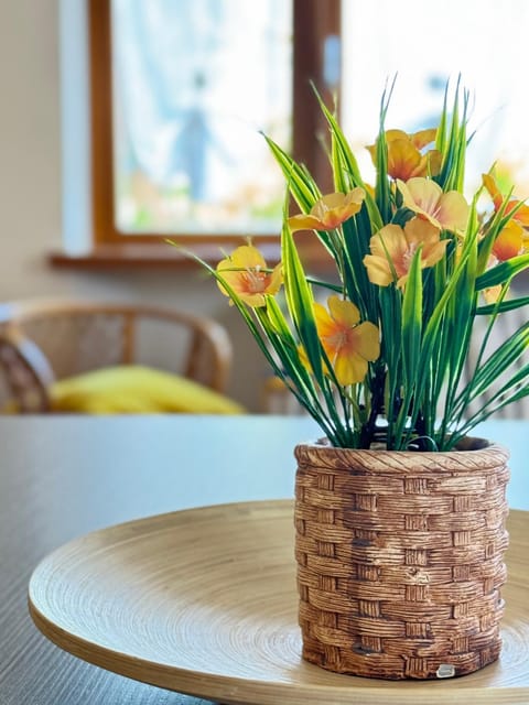 Residenza Bouganville Apartment in Torri del Benaco