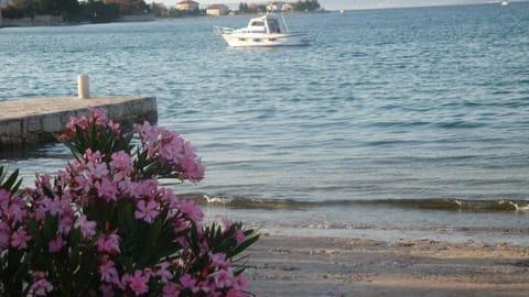 Apartments Dorkin Apartment in Zadar County