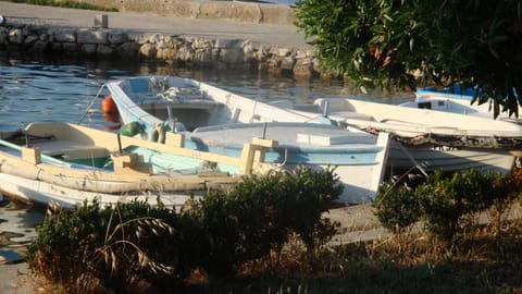 Apartments Dorkin Apartment in Zadar County