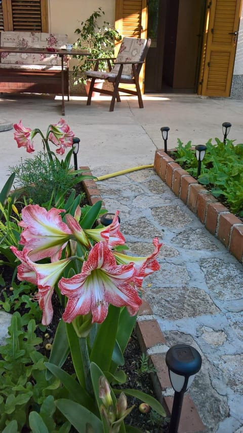 Inner courtyard view