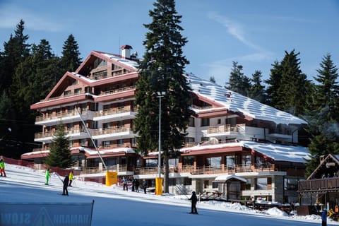 Property building, Winter