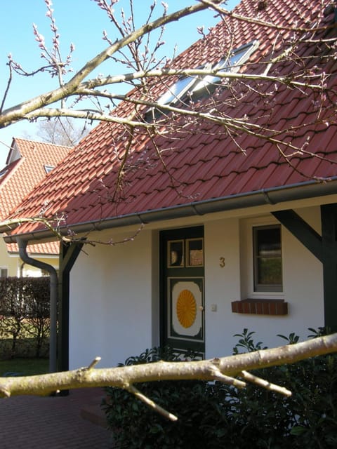 Kormoran Muschelsucher House in Prerow