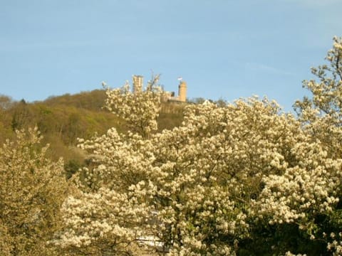 Landmark view