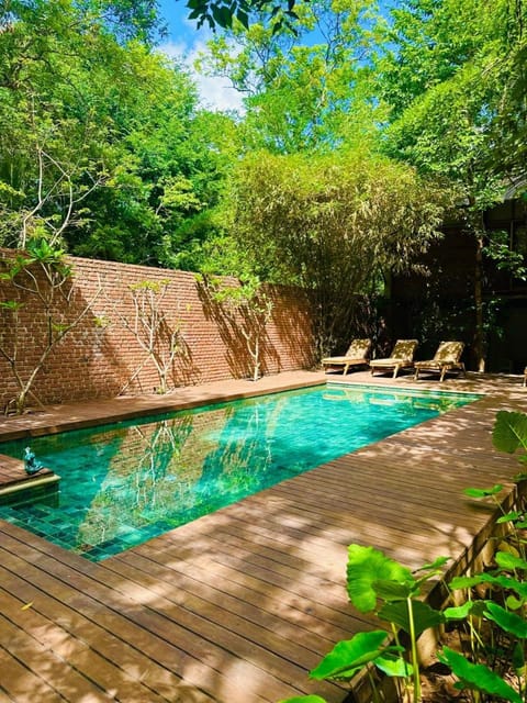 Spring, Day, Garden, Garden view, Pool view, Swimming pool, sunbed