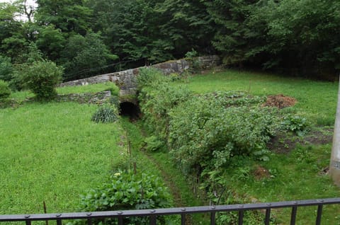 Natural landscape, Garden, Other, Garden view