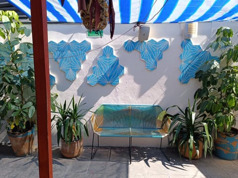 Monkey Safari Hostel Bed and Breakfast in Santiago de Queretaro