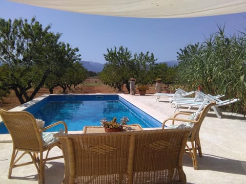 Summer, Swimming pool, Swimming pool