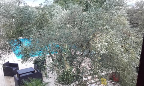 Bird's eye view, Garden, Swimming pool