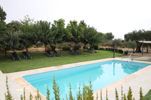 Garden, Pool view, Swimming pool, sunbed