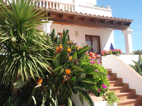 Property building, Day, Other, Garden view