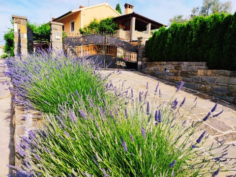 Property building, Garden