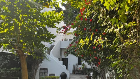 Property building, Garden