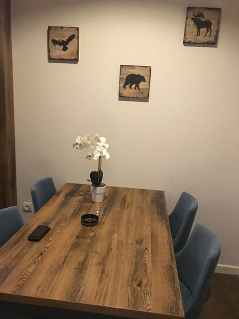 Zupa Deluxe Kopaonik Apartment in Serbia