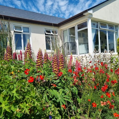 Rowanville Lodge Bed and Breakfast in County Sligo