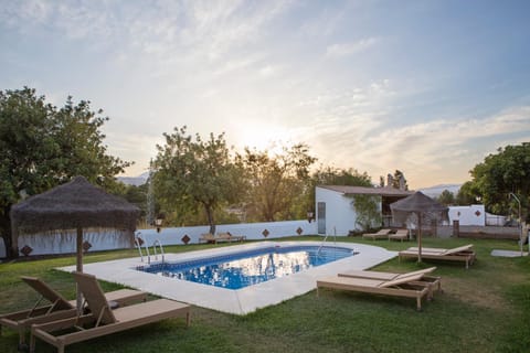 Day, Garden, Pool view, Swimming pool