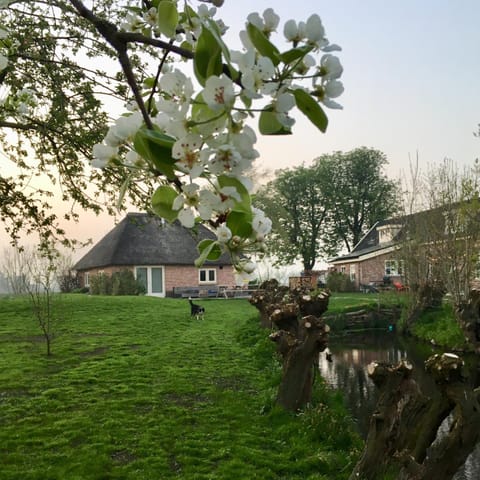 Groeten uit Hoogmade - rural cottage House in South Holland (province)