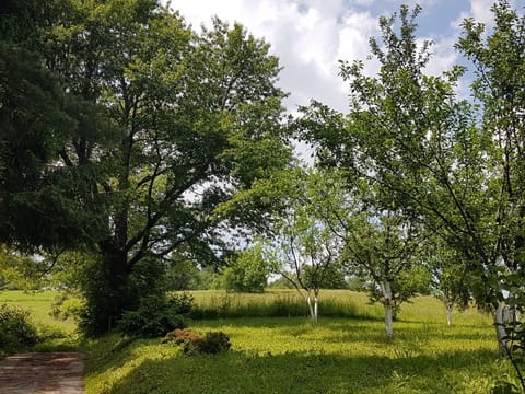 Natural landscape, Garden