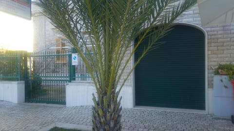 Facade/entrance, Day, Garden, Floor plan, On site, Garden view, Garden view, Inner courtyard view