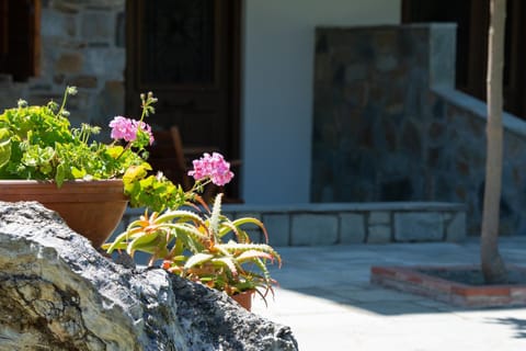Patio, Facade/entrance