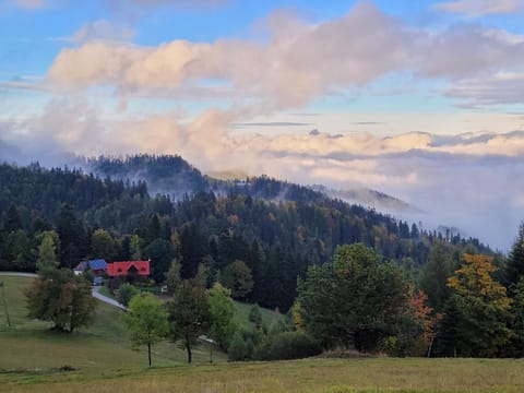Mountain view
