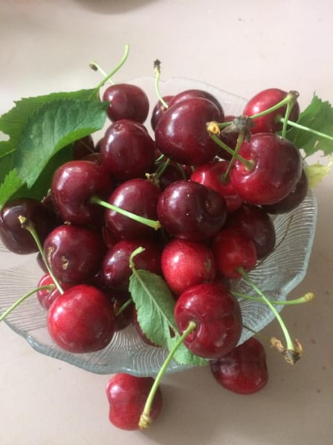 Cycle Inn Bed and Breakfast Bed and Breakfast in Cowichan Valley