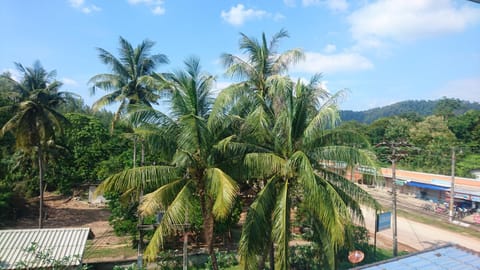 Neighbourhood, Natural landscape, Bird's eye view