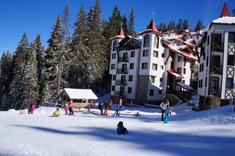 Day, Winter, Skiing, Guests