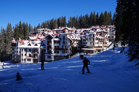 Day, Natural landscape, Winter, Skiing, Landmark view
