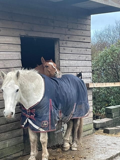 Letterfrack Farmhouse on equestrian farm in Letterfrack beside Connemara National Park House in County Mayo