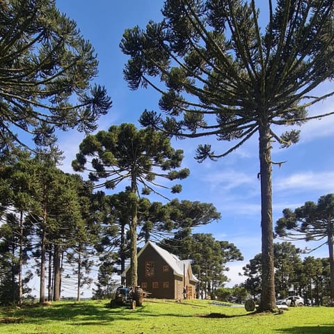 Natural landscape