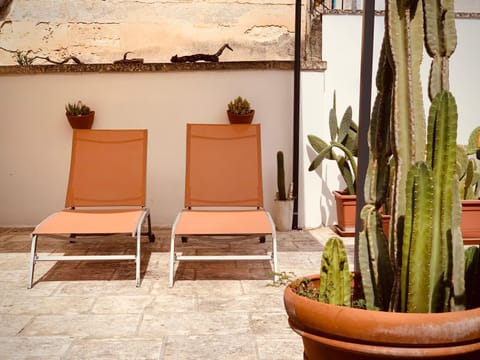Day, Garden, Solarium, Seating area, sunbed