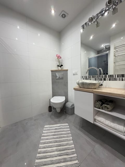 Modern Apartment in Lithuania