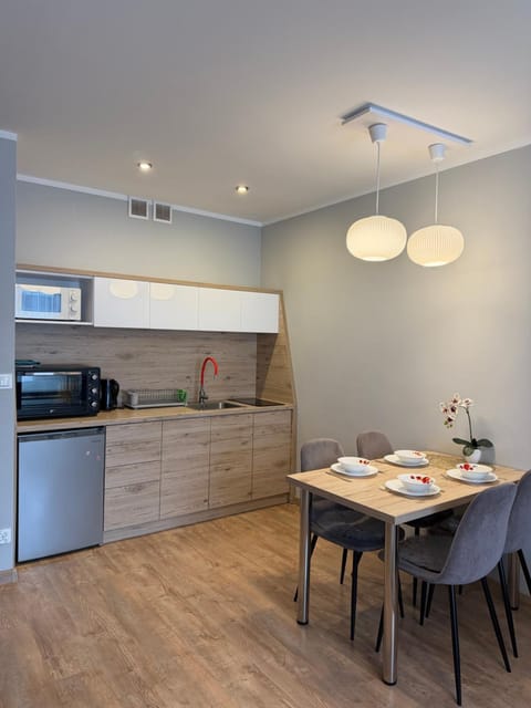 Modern Apartment in Lithuania