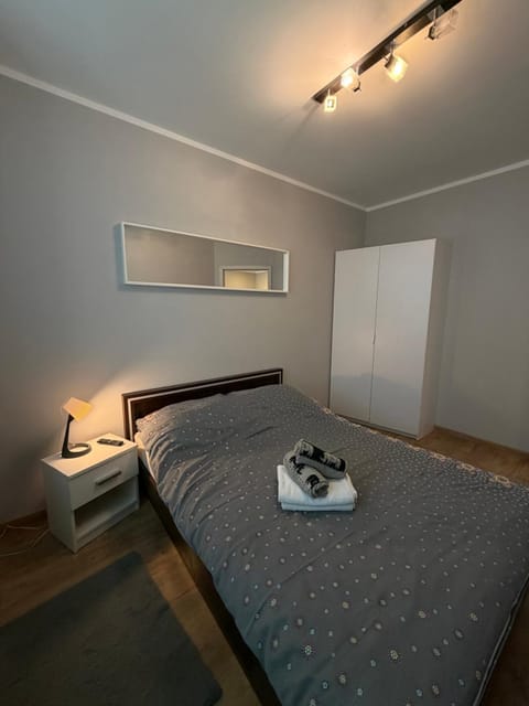 Modern Apartment in Lithuania