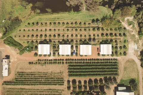 Neighbourhood, Natural landscape, Bird's eye view