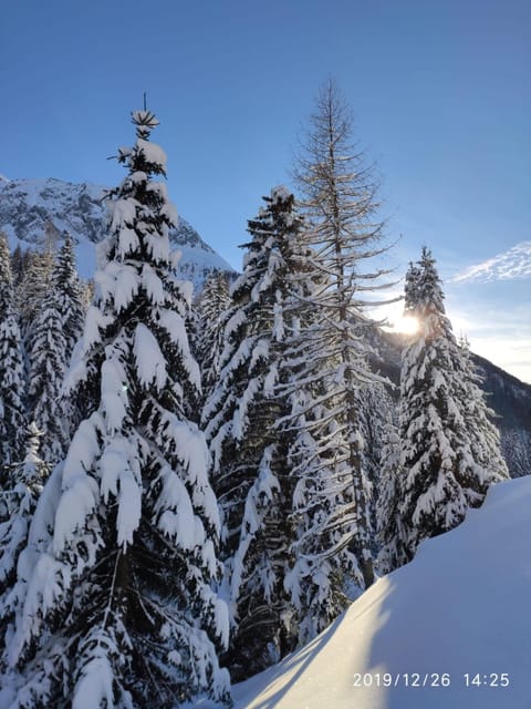 Klaus Prettau Apartment in Salzburgerland