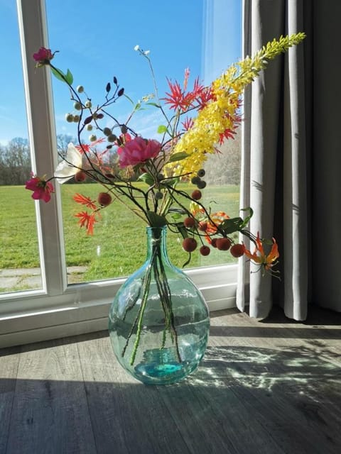 Minicamping Shalom Chalet in Oostkapelle