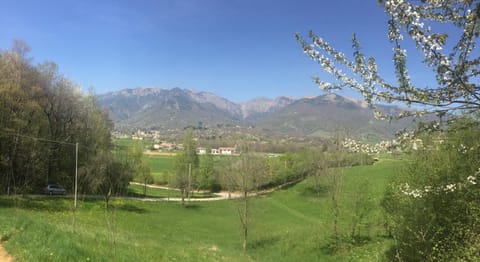 Spring, Day, On site