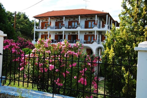 Property building, Day