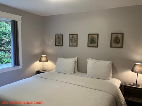 Sienna's Tree House (Tall Trees And Salty Breeze) Apartment in Tofino