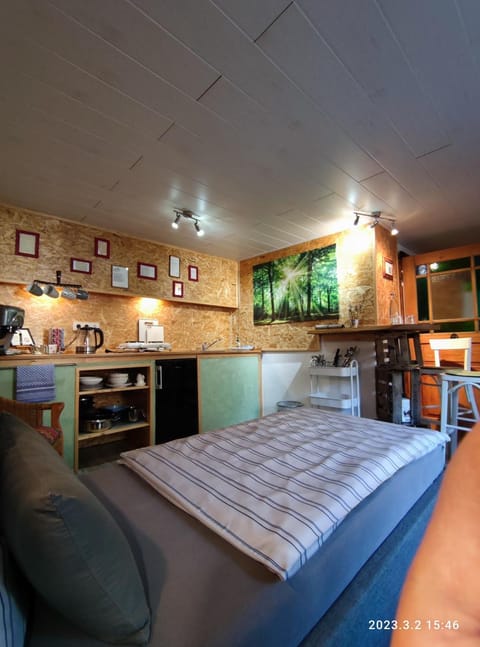 Bed, Kitchen or kitchenette, Photo of the whole room, Dining area, stove