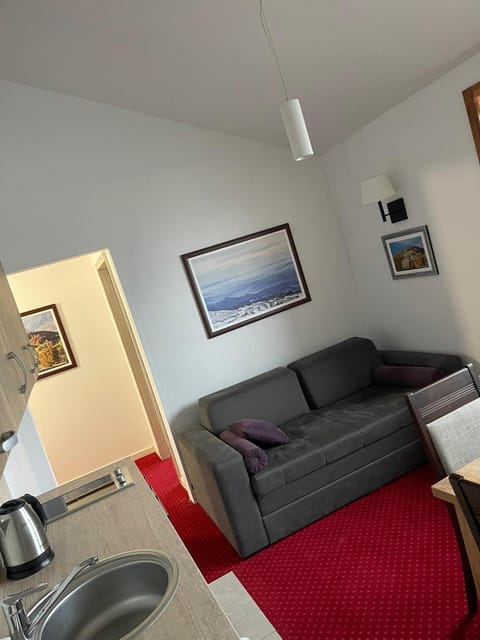 Apartmani ŽUPA Apartment in Serbia