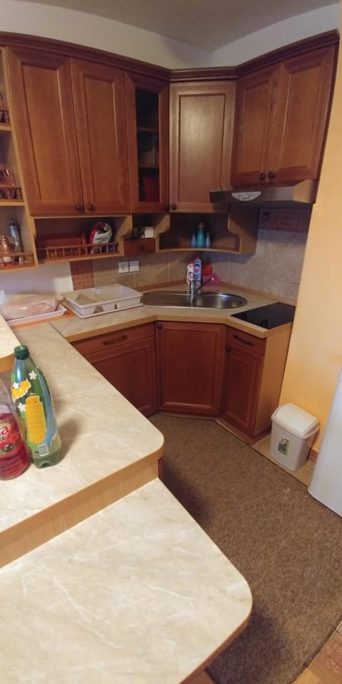 Lux - Apartment Snow Oasis Apartment in Federation of Bosnia and Herzegovina