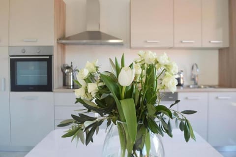 Island Residence Apartment in Zadar County