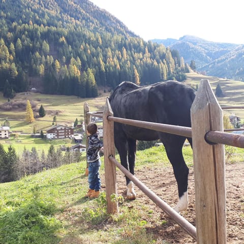 Casa con vista a Moena Apartment in Moena
