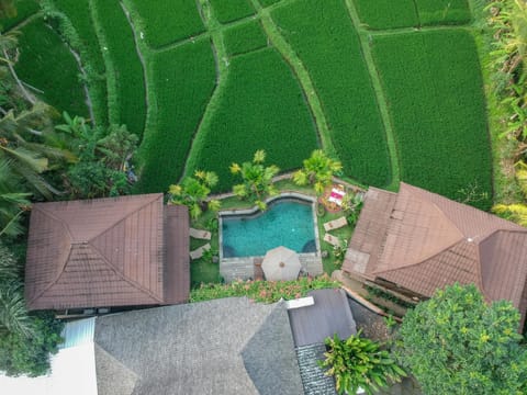 Property building, Day, Bird's eye view, Garden, Decorative detail, Garden view, Landmark view, Pool view, Swimming pool, sunbed