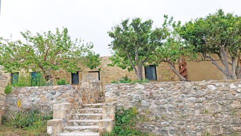 Spring, Day, Garden view